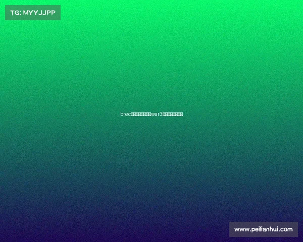 brec国际电子竞技大赛war3电子竞技世界大赛